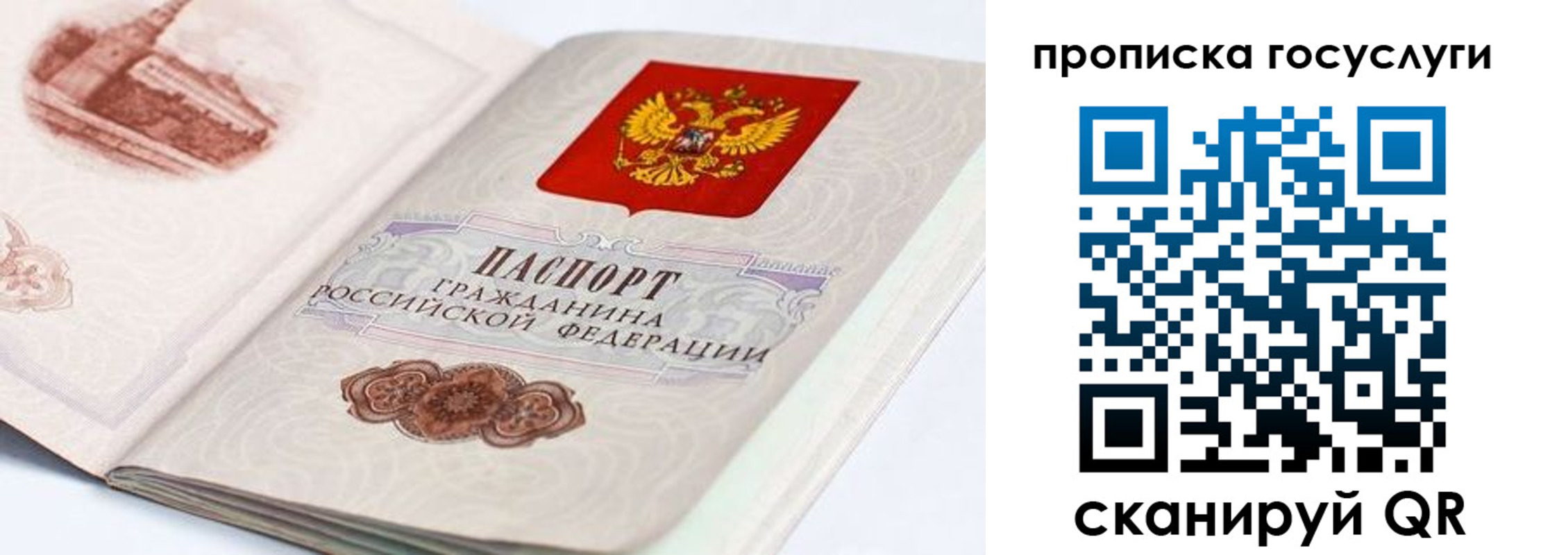 прописка гарантия в ЕАО